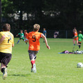 IMG_3923.JPG