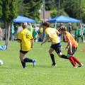 IMG_3934.JPG