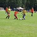 IMG_3942.JPG