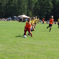 IMG_3943.JPG