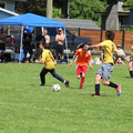 IMG_3949.JPG