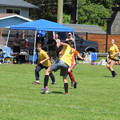 IMG_3950.JPG
