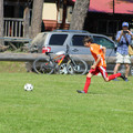IMG_3951.JPG