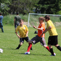 IMG_3960.JPG