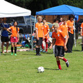 IMG_3965.JPG