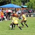 IMG_4004.JPG