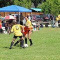 IMG_4005.JPG