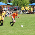 IMG_4006.JPG