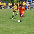 IMG_4013.JPG