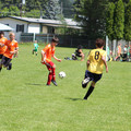 IMG_4015.JPG