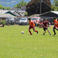 IMG_4025.JPG