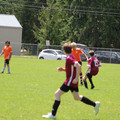 IMG_4036.JPG