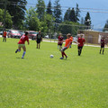 IMG_4061.JPG