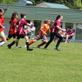 IMG_4116.JPG