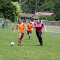 IMG_4119.JPG