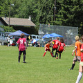 IMG_4128.JPG