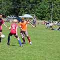 IMG_4133.JPG