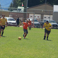 IMG_4141.JPG