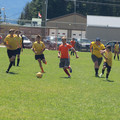 IMG_4143.JPG