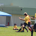 IMG_4147.JPG