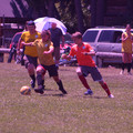 IMG_4169.JPG