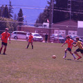 IMG_4172.JPG