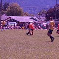 IMG_4178.JPG