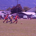 IMG_4179.JPG
