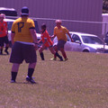 IMG_4184.JPG