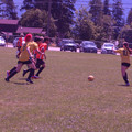 IMG_4216.JPG