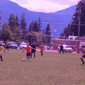 IMG_4243.JPG