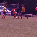 IMG_4249.JPG