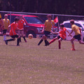 IMG_4252.JPG