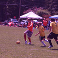 IMG_4265.JPG