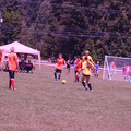 IMG_4272.JPG