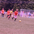 IMG_4273.JPG