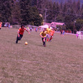 IMG_4276.JPG