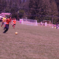 IMG_4278.JPG