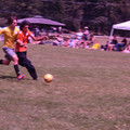 IMG_4281.JPG