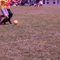 IMG_4282.JPG