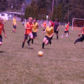 IMG_4285.JPG