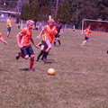IMG_4286.JPG
