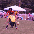 IMG_4300.JPG