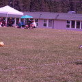 IMG_4301.JPG