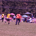 IMG_4307.JPG
