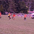 IMG_4316.JPG