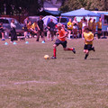 IMG_4319.JPG