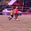 IMG_4323.JPG
