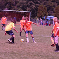 IMG_4332.JPG
