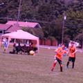 IMG_4333.JPG